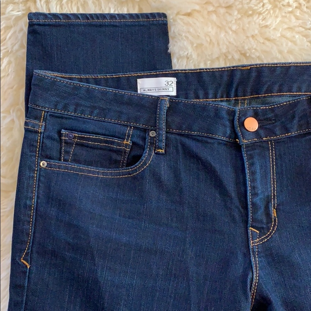 Gap Always Skinny Salinas Jeans